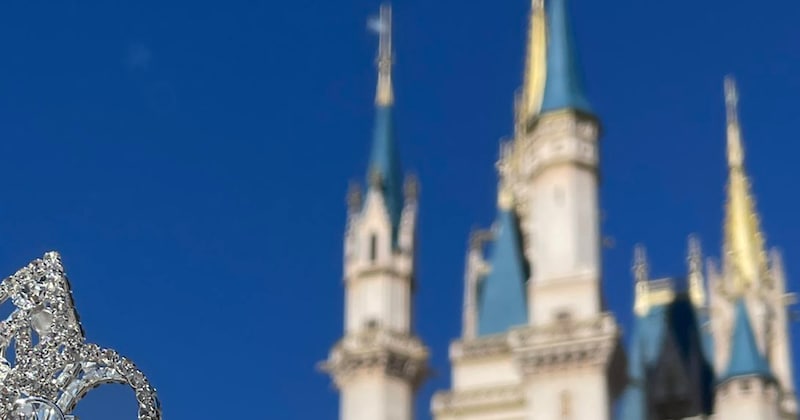 ディズニーへ行った30歳の女性2人、真っ先に向かったのは……「こんなのあるんだ!」 210万表示の“最高な楽しみ方”に「憧れる」「めちゃくちゃ素敵」