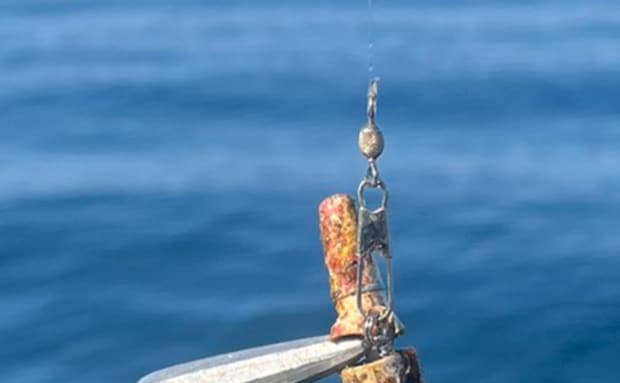 静岡で海釣り中、竿にかかったのは……　1600万表示のまさかの獲物に「これは奇跡すぎるw」「漫画でしか見たことない」