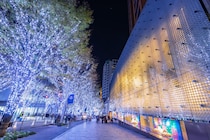 「関東の幻想的な冬絶景」ランキングTOP10！　第1位は「湯西川温泉 かまくら祭」【2025年最新調査結果】