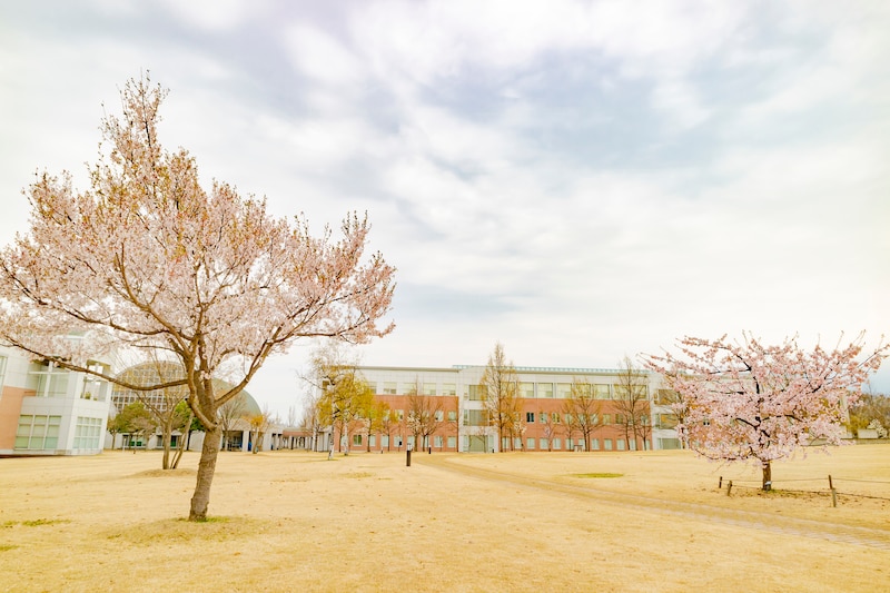 「迷わず選んでほしい」　“学生評価の高い北海道・東北の大学”に「外資就活可能なくらいTOEIC得点が取れる」「大学そのもののレベルはかなり高い」の声