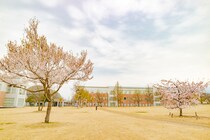 「迷わず選んでほしい」　“学生評価の高い北海道・東北の大学”に「外資就活可能なくらいTOEIC得点が取れる」「大学そのもののレベルはかなり高い」の声