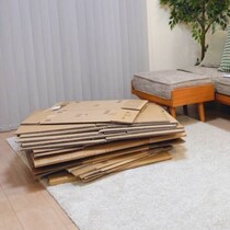 妻「そこのダンボール捨てといて」→捨てるのが面倒な夫が作ったのは……　「AIかと思った」まさかの完成品が770万表示「こんなお父さんになりたい」