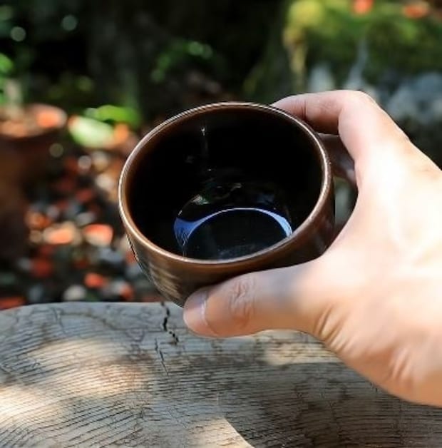 落ちていた松ぼっくりを湯呑みに植えると……「うわああ!」 目を奪われる光景が130万再生「素敵すぎる」「感動しました」