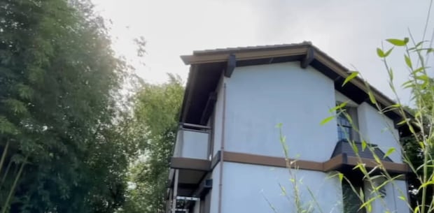 家を囲む“大量の竹”と戦い続けて4年後……「ついに軍配が！」　圧巻の光景に「胸熱です！」「拍手しました」