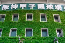 【50代に聞いた】高校野球が強いイメージの「都道府県」ランキングTOP20！　第1位は「大阪府」【2025年最新調査結果】