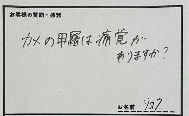 客「カメの甲羅は痛覚がありますか」→飼育員の“神回答”が130万表示「例えが上手すぎる」「普通にへぇ～って言った」