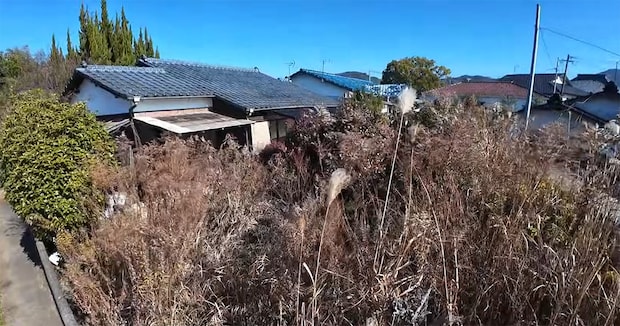 100坪の庭がジャングル化→草を刈ったら“とんでもないもの”が出現！　まさかの正体に10万再生「良い家だね」