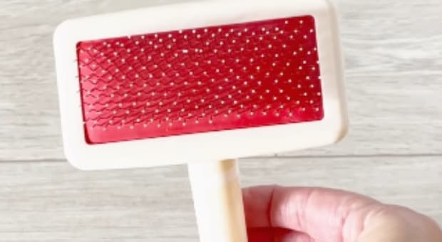 フリースにダイソーのペット用ブラシを使ったら……「すっごい!」「やってみよーっと」驚きの裏ワザが140万再生