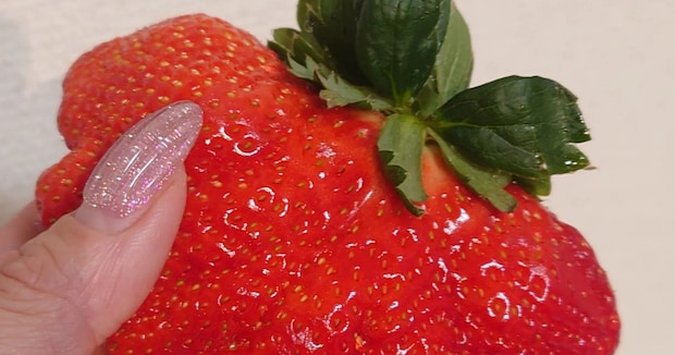 スーパーで「バケモンみたいなイチゴ」を購入→切ったら……　まさかの中身に「この形が一番おいしい」