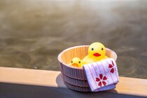 【画像：ランキング28位～1位を見る】