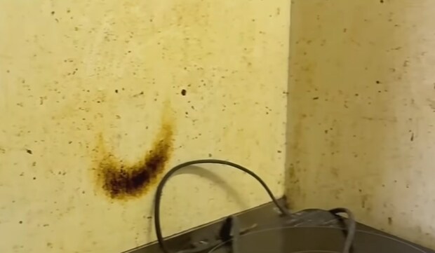 「ここ人が住んでたんだよね!?」衝撃的なアパートのキッチン→二級建築士が本気を出すと……　「どうしたらこんなになるの」