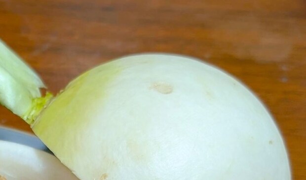 道の駅で見つけたまん丸な大根を開けると……「えっぐ」　驚きの中身が440万表示「うおおお！」「子供の頃めっちゃ憧れた」