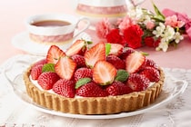 【画像：ランキング24位～1位を見る】