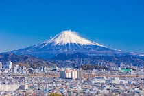 「知られたらやばそう」静岡の老舗の“お土産”に絶賛の声　「びっくりする美味しさ」「忘れられない」「見た目もものすごく可愛い」「パリッ＆ねっとりがやみつきになる」