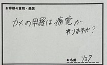 客「カメの甲羅は痛覚がありますか」→飼育員の“神回答”が130万表示「例えが上手すぎる」「普通にへぇ～って言った」