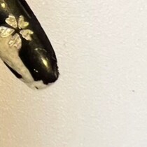 実家から戻った妻、キッチンで“浮気の証拠”を発見→夫は弁解するも……　まさかの正体に「そんなことあんのw」「心臓に悪い」