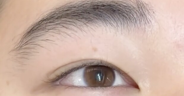 弟の“太眉”→プロの姉が整えたら……「めちゃくちゃいいじゃん」　驚きの仕上がりが70万再生「羨ましいです」「ビジュ良い」