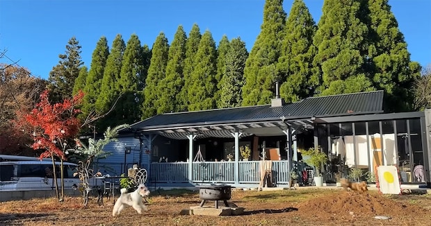 森の中に佇む“小さな家”→3年かけてリノベしたら……　憧れの空間に「ひっくり返るくらいオシャレ」「素敵すぎてウットリ」
