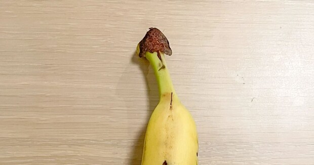 2歳娘、糸ようじをつかむと……　ママ衝撃の光景に「ジブリに出てきそう」「完璧な作品ですね」