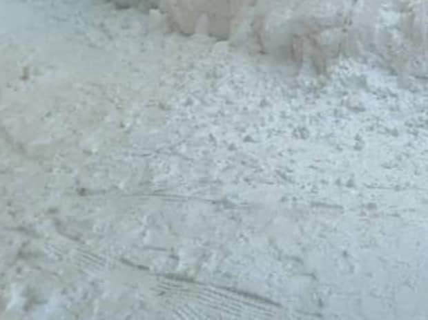 「怒りMAXで暴走状態」大雪の日に出現した巨大生物に驚がく　圧巻の光景に「夜見ると怖い」「天才すぎるだろ」