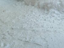 「怒りMAXで暴走状態」大雪の日に出現した巨大生物に驚がく　圧巻の光景に「夜見ると怖い」「天才すぎるだろ」