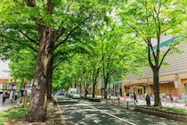 「次の家もこの辺りでいいなー」京王線沿いで「永住したいと思う街（駅）」第1位に集まった声　「ないジャンルの店、ほぼないんだよね」「住み心地最高」