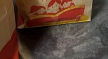 【画像】思いも寄らぬ光景（全体）