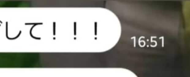 「超絶腹減り」と21歳長男からLINE→“今夜は巻きずし”と伝えると……　まさかの光景に「そのくらい感情出してほしい!!!」「かんわいいぃぃぃ」