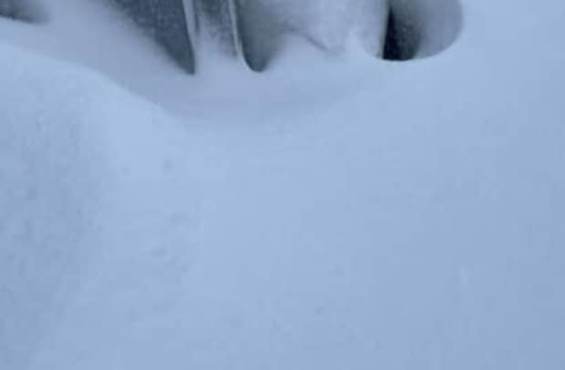 「待ってろ！　今助ける！」大雪の中で埋もれていた“救助必須の存在”に驚がく　「要救助者……1名！」「助けてあげて！」