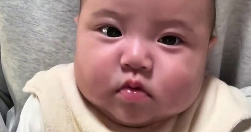 お目目ぱっちりの0歳赤ちゃん→SNSのフィルターをかけてみると……　まさかの姿に「なんて可愛らしい」「ムニムニしたくなっちゃう」