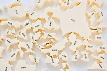 【女性に聞いた】形が美しいと思う「都道府県」ランキング！　第2位は「青森県」、1位は？