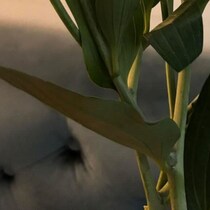 【画像】まさかの購入品