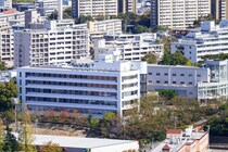 【画像：ランキング20位～1位を見る】