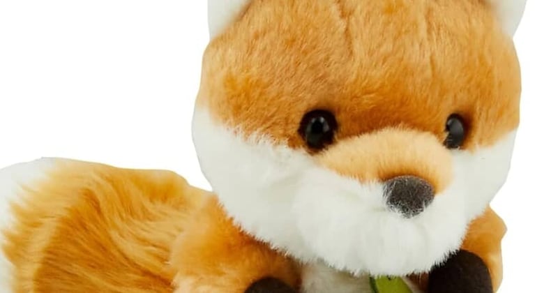 キツネのぬいぐるみ→ネットで注文したら……「作画が違いすぎる」“まさかの姿”が50万表示も「かわいいからヨシ！」