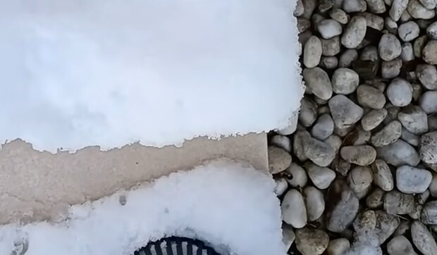 雪の日、庭の畑を見に外へ出たパパが……　玄関先で衝撃、思わずカメラを構えた“奇跡の遭遇”が話題