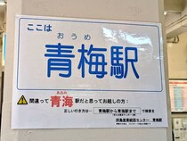 「マジでゾッとする」　青海駅だと思ったら……　駅内の“絶望しかない案内”に悲鳴　「もはや名物」「見た時点でもう遅い」と680万表示
