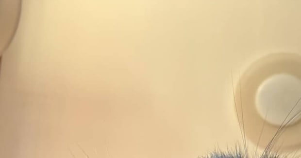 スマホに入っていた知らない写真→犯人は……　「ちょww」　芸術的すぎる光景に「最高やん」「もっとやって！ww」