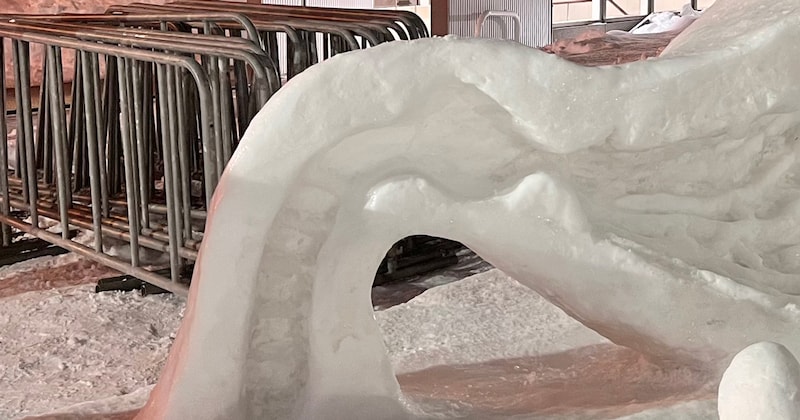 雪まつりの会場を見ていると……「今年も可愛らしい雪像がお出迎え」　330万表示の衝撃的な雪像に「リアル過ぎます」「完成度すごい」