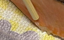 【画像】衝撃的なサイズのシャケ（全体を見る）