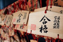 【画像：ランキング22位～1位を見る】