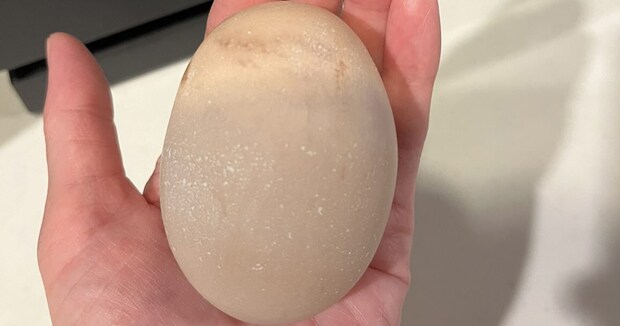 やけに大きい卵→割ってみたら……「一体どういった状況ですか」　“衝撃の中身”に「えっぐ」「こんなことが」「初めて見ました」