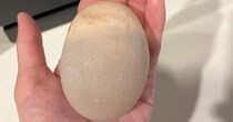やけに大きい卵→割ってみたら……「一体どういった状況ですか」　“衝撃の中身”に「えっぐ」「こんなことが」「初めて見ました」