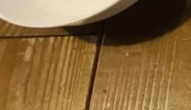 出品後たった3分で購入された“意外な中古品”は……　驚きの需要に「オヤジが集めてました」「使いやすいんですよね」