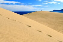 【画像：鳥取の“うさぎの銘菓”】