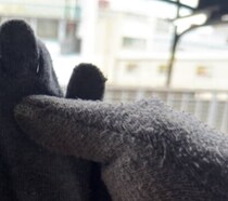 手袋をしようと思ったら……「うそやん！」　とんでもない光景に「すっごい絶望感w」「コーヒー吹いた」「電車の中なのでやめてもろていいですか？」