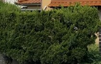 【動画】ビフォーアフターを見る