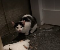 【画像】救出の瞬間