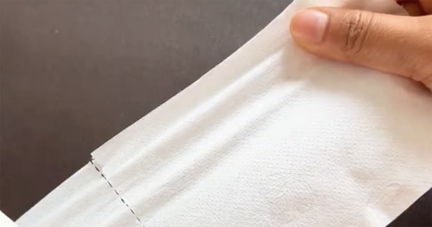 トイレットペーパー“3枚”を用意→重ねて折ると……　完成したアイテムが2900万再生「ステキなアイデア」「お母さんにあげよう」【海外】