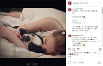 浜崎あゆみ、愛犬・パピコとの別れ……4日後にインスタ更新　友人から肖像画のプレゼントに「崩れ落ちるように泣いた」