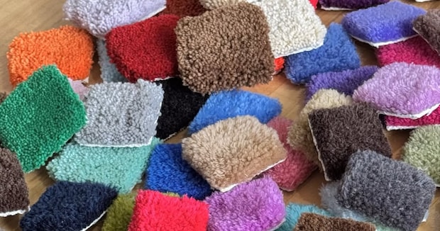 ラグ専門店の掃除機→中をのぞいてみると……「うわーきれい」　“予想外の中身”に反響